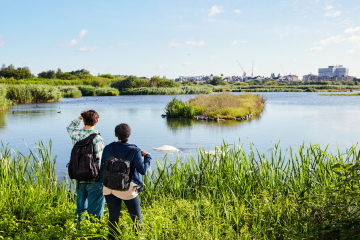 New plan calls for urban wetlands